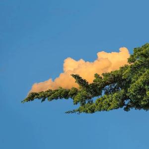 三角裤阴部鼓起图片大全
